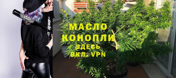 Альфа ПВП Инсар