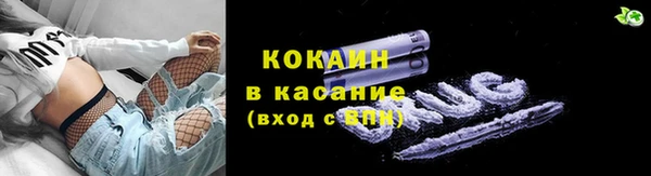 стаф Карпинск