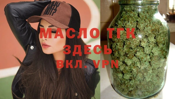 прущие грибы Каменногорск