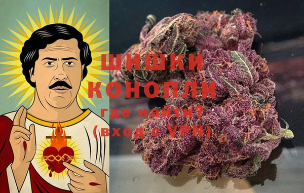 Альфа ПВП Инсар