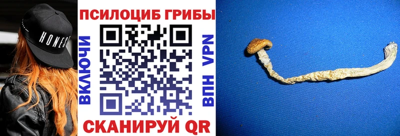 Галлюциногенные грибы ЛСД  Купить где  Бугуруслан 